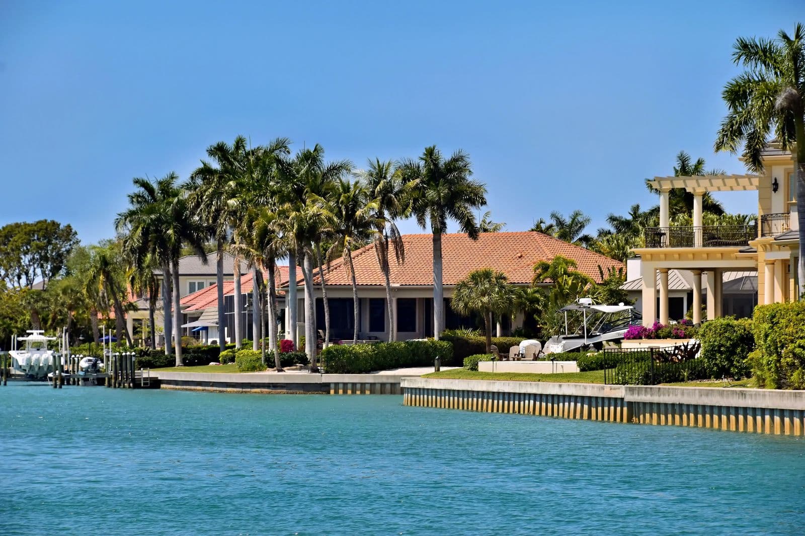 Florida waterfront homes lined with palm trees under a clear sky